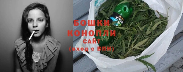 молекула духа Вязьма