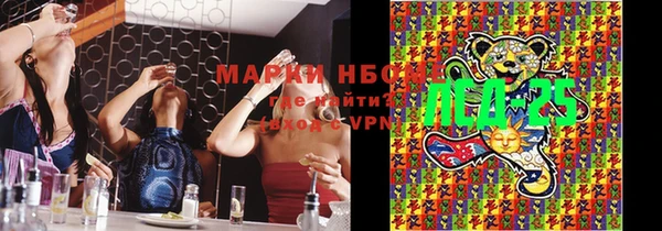 молекула духа Вязьма