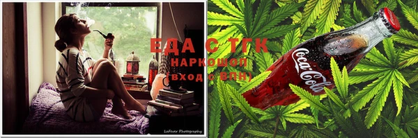 молекула духа Вязьма