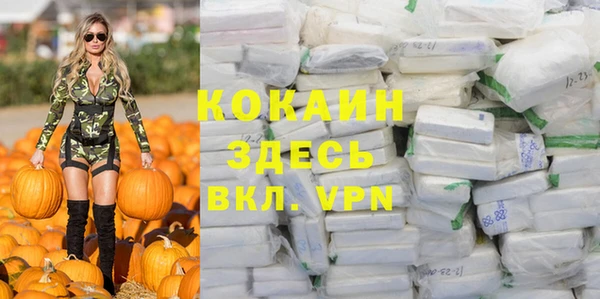 молекула духа Вязьма