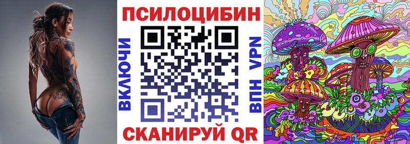 Псилоцибиновые грибы Psilocybine cubensis  Купить  Сорск 